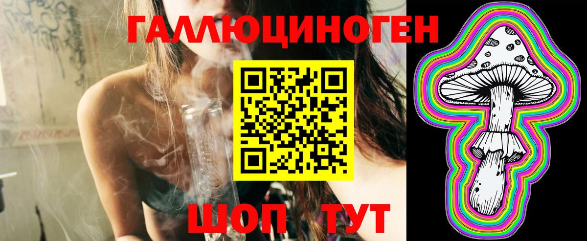 Галлюциногенные грибы Psilocybe Заринск