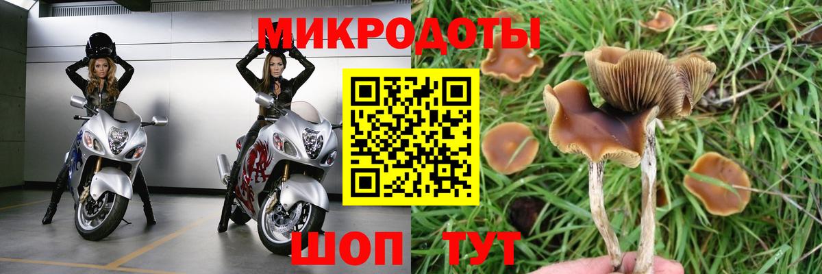 Заринск  Галлюциногенные грибы Psilocybine cubensis  где можно купить   Вход с VPN 